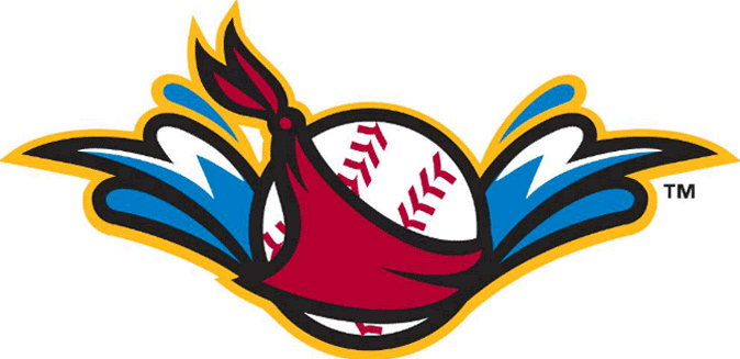 Quad Cities River Bandits 2014-Pres Alternate Logo iron on transfers for T-shirts
